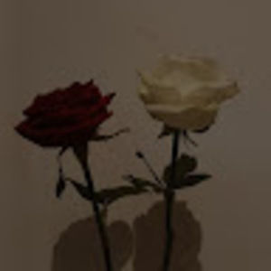 Meet your Posher, Anastasia